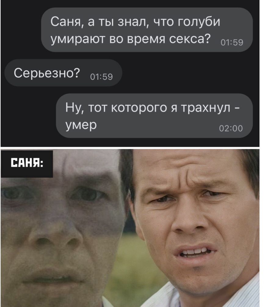 Саня а ты знал что голуби умирают во время секса 0159 Серьезно 59 Ну тот которого я трахнул Умер 0200 няни __