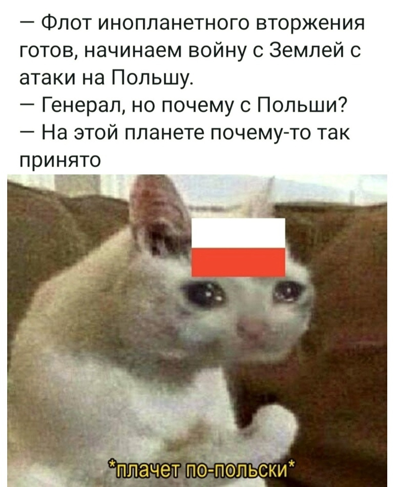 Флот инопланетного вторжения готов начинаем войну с Землей с атаки на Польшу Генерал но почему с Польши На этой планете почему то так принято