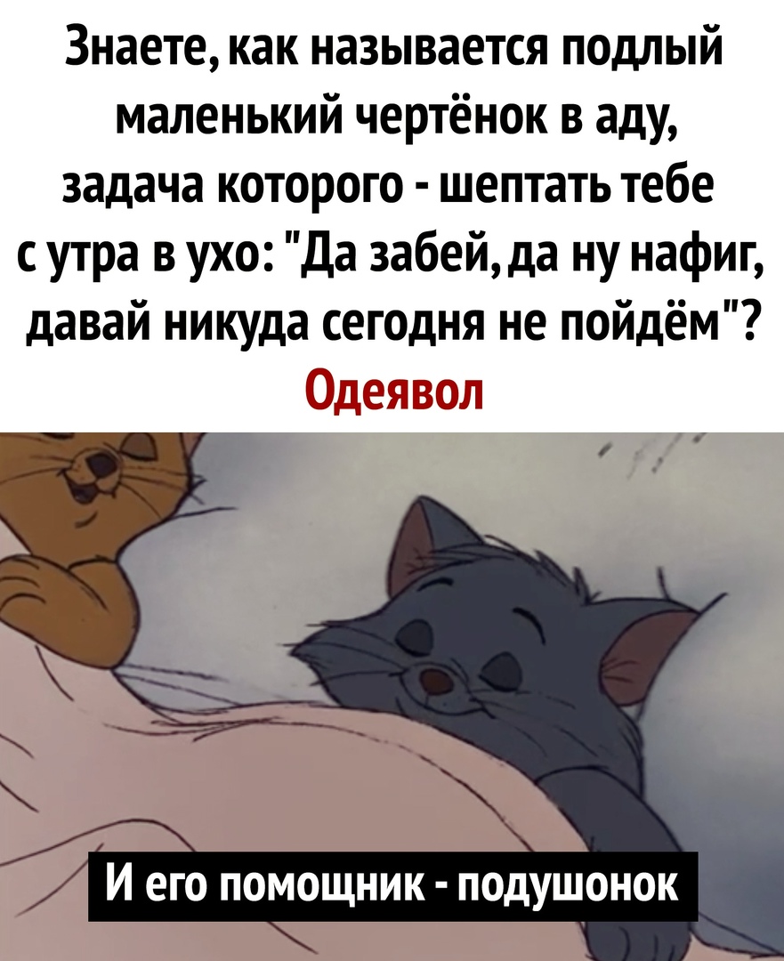 Знаете как называется подлый маленький чертёнок в аду задача которого шептать тебе с утра в ухо Да забейда ну нафиг давай никуда сегодня не пойдём тм И ЕГО ПОМОЩНИК ПОДУШОНОК