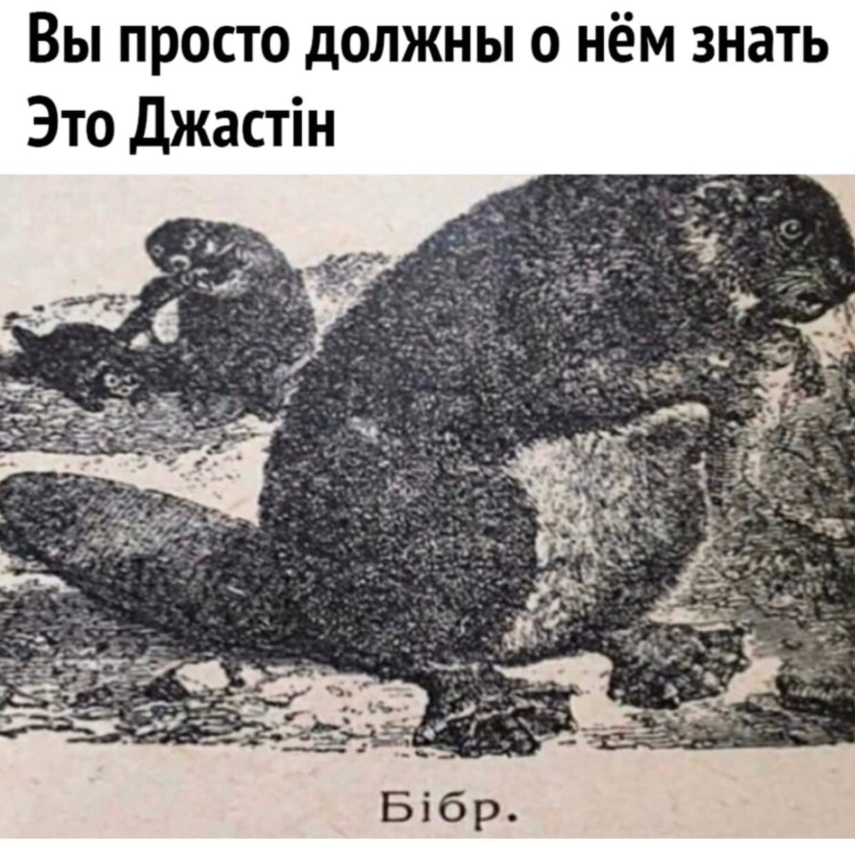 Вы просто должны о нём знать Это Джастін