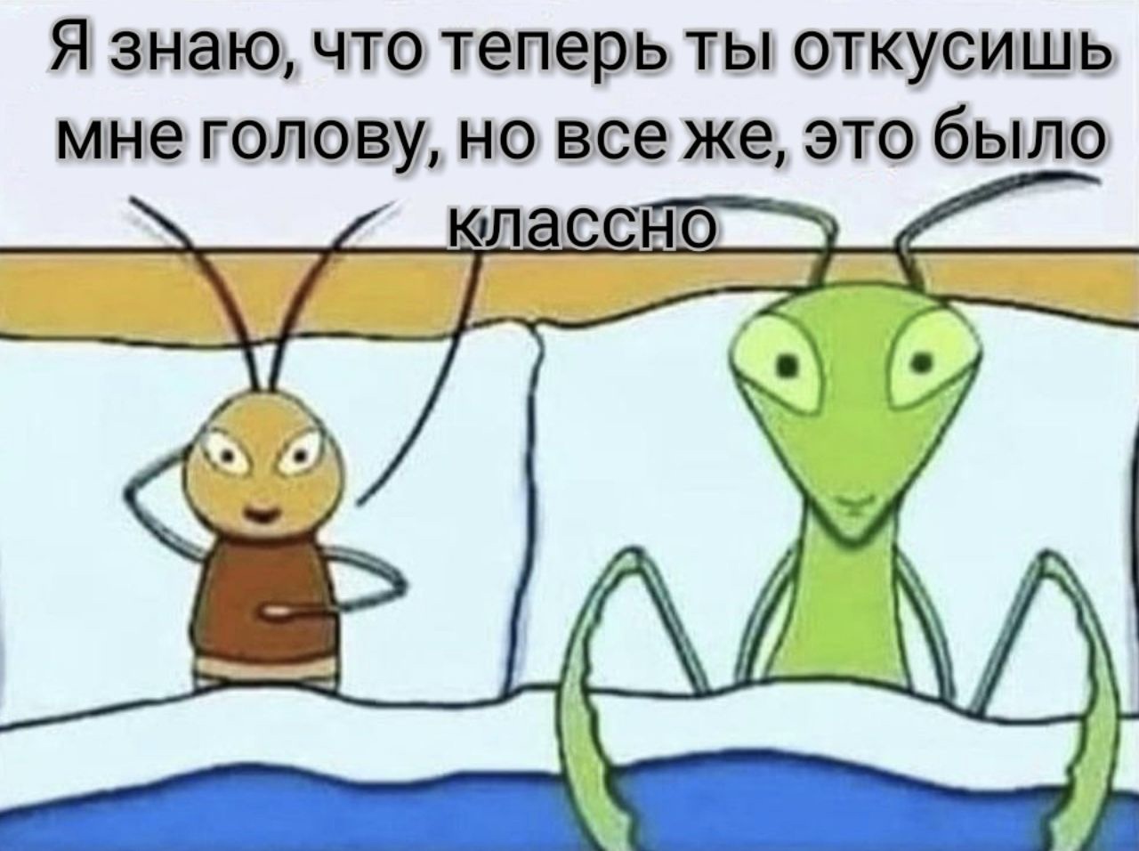 Я знаю что теперь ты этикуишь мне тлюву но все же это бЫтЛкО