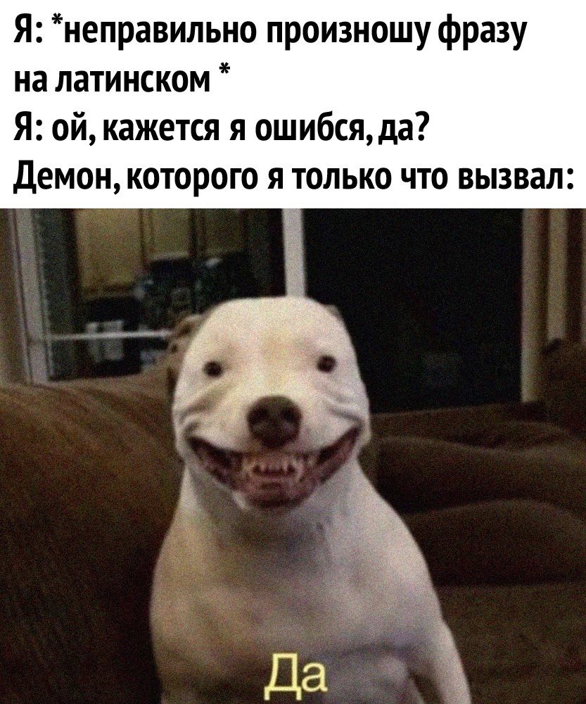 Я неправильно произношу фразу на латинском Я ой кажется я ошибсяда Демон которого я только что вызвал