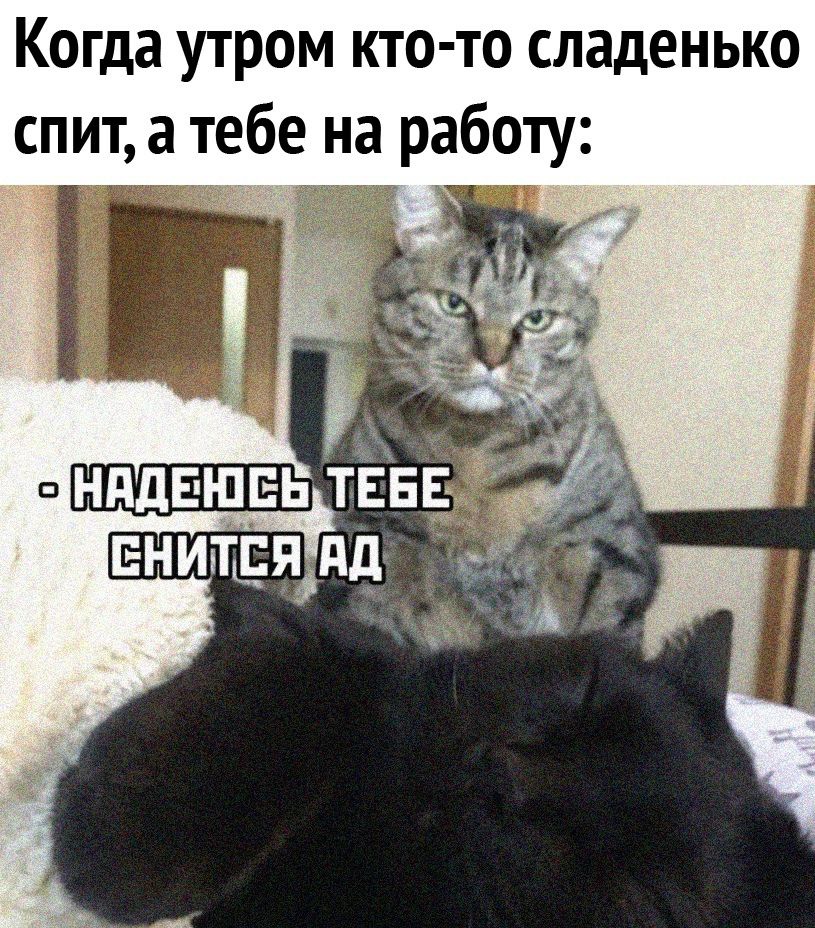 Когда утром кто то сладенько спит а тебе на работу