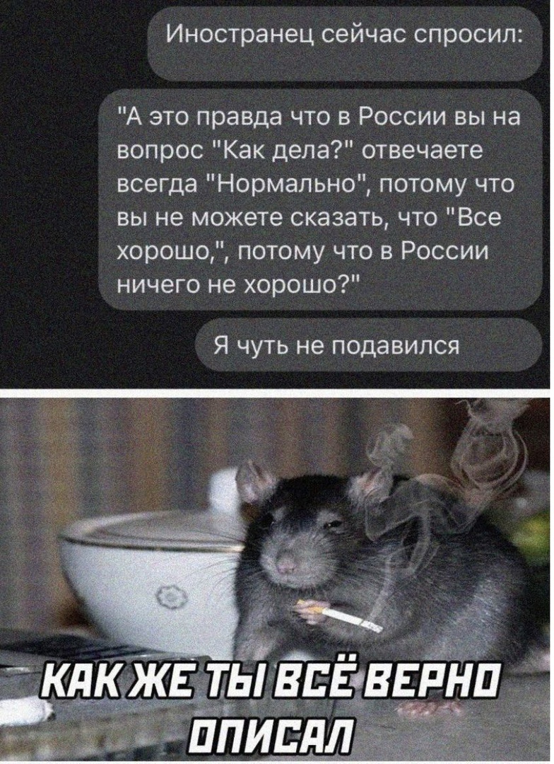 Иностранец сейчас спросил А это правда что в России вы на вопрос Как дела отвечаете всегда Нормально потому что вы не можете сказать что Все хорошо потому что в России ничего не хорошо Я чуть не подавился