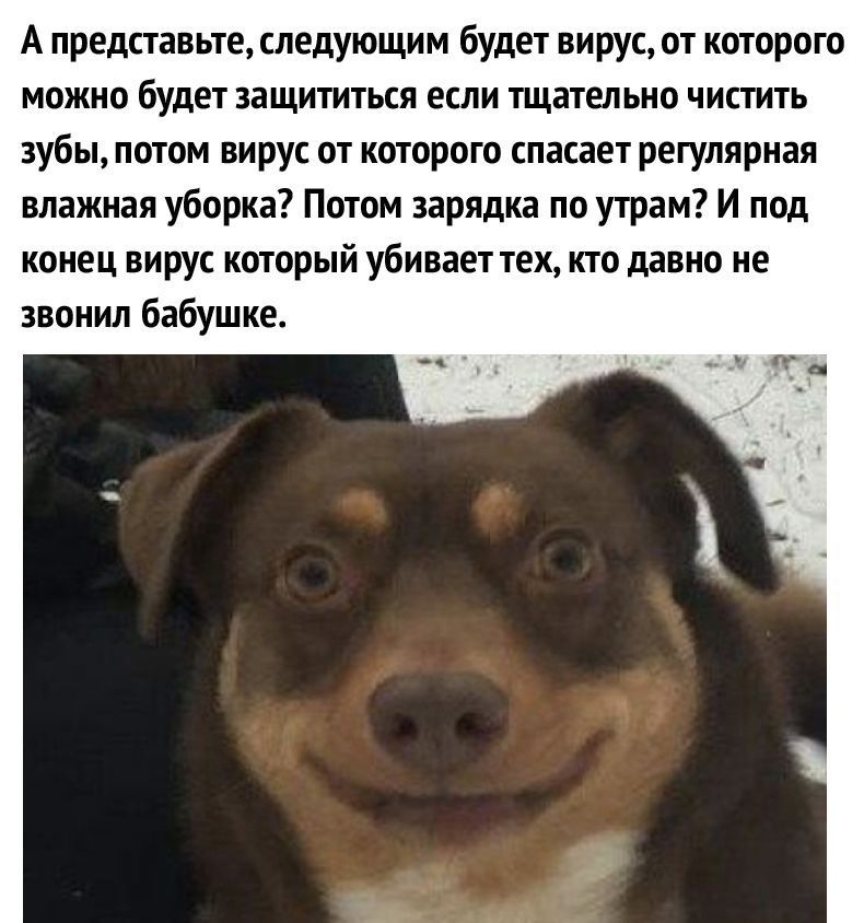 А представьте следующим будет вирус от которого можно будет защититься если тщательно чистить зубы потом вирус от которого спасает регулярная влажная уборка Потом зарядка по утрам И под конец вирус который убивает тех кто давно не звонил бабушке