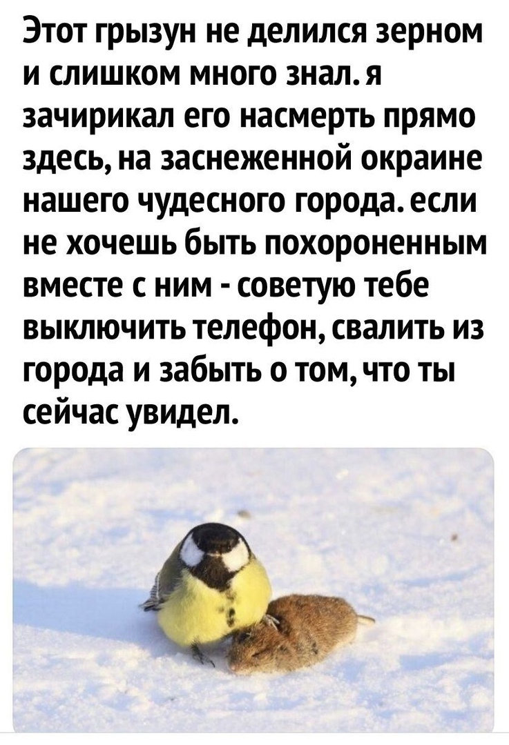 Этот грызун не делился зерном и слишком много зналя зачирикал его насмерть прямо здесь на заснеженной окраине нашего чудесного города если не хочешь быть похороненным вместе с ним советую тебе выключить телефон свалить из города и забыть о том что ты сейчас увидел