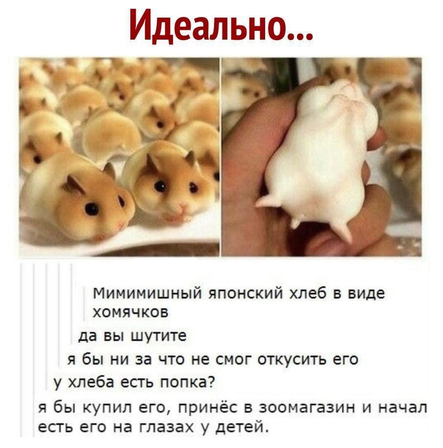 Идеально Мимимишный японский хлеб в виде хомячков да вы шутите я бы ни за что не смог откусить его у хлеба есть попка Я бЫ КУПИЛ ЕГО принёс В ЗООМЗГЭЗИН И НЭЧЗЛ есть его на ГЛЗЗЗХ у детей