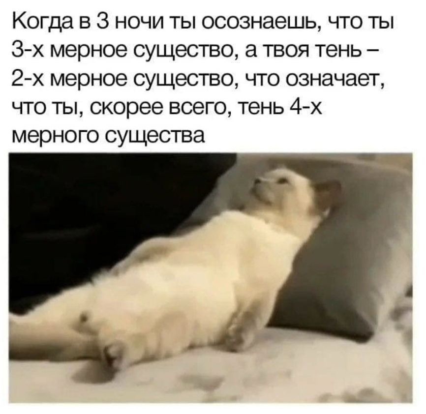 Когда в з ночи ты осознаешь, что ты 3х мерное существо, а твоя тень  2х мерное существо, что означает, что ты, скорее всего, тень 4х мерного существа