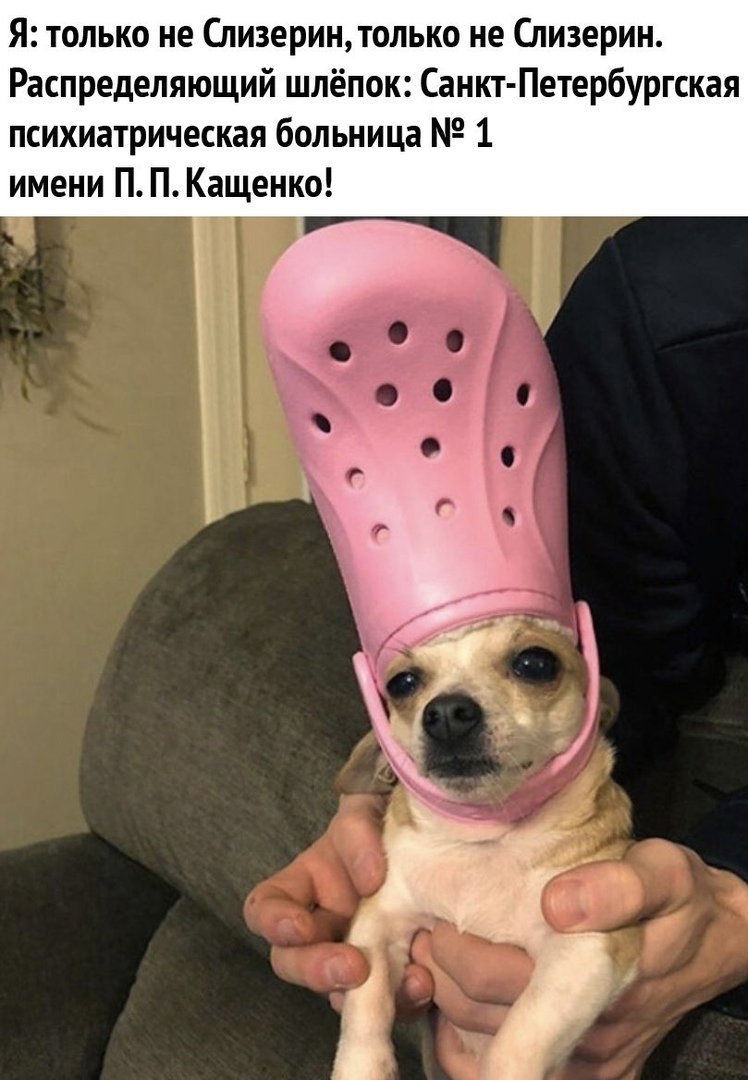 Я только не Спизеринтолько не Спизерин Распределяющий шлёпок Санкт Петербургская психиатрическая больница 1 имени П П Кащенко