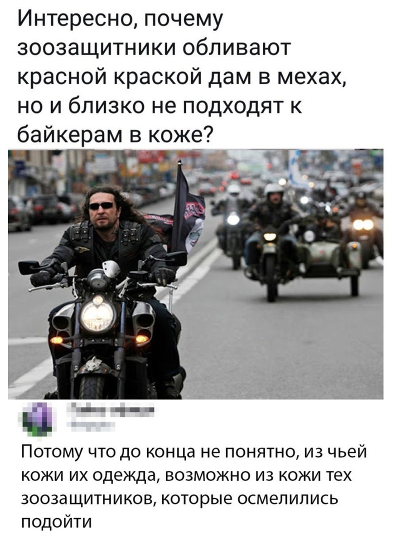 Интересно почему зоозащитники обливают красной краской дам в мехах но и близко не подходят к байкерам в коже Потому что до конца не понятно из чьей кожи их одежда возможно из кожи тех зоозащитников которые осмелились подойти