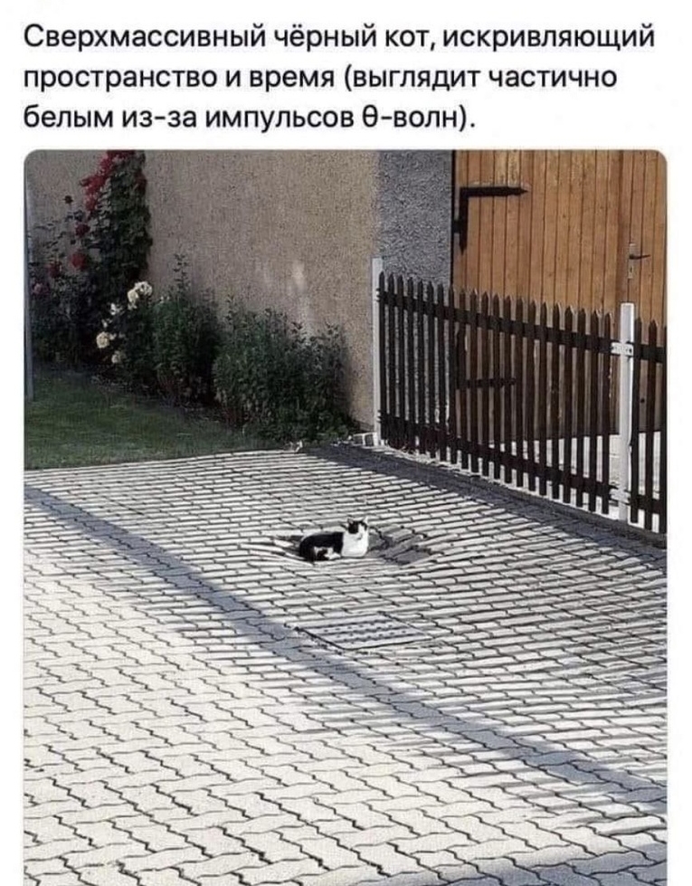 Сверхмассивный чёрный кот искривпяющий пространство и время выглядит частично белым изза импульсов е волн
