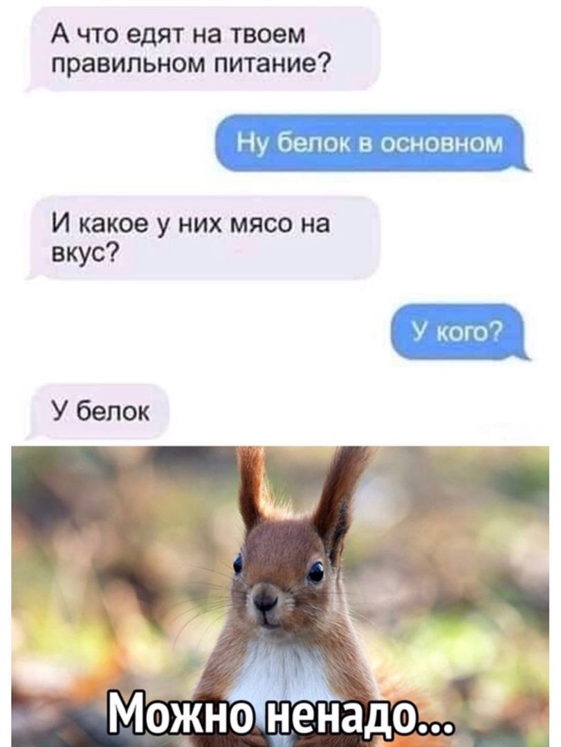 А что едят на твоем правильном питание НУ бЁПОМ В ЗНОВНОМ И какое у них мясо на вкус чого ЖНЁЁЭДО