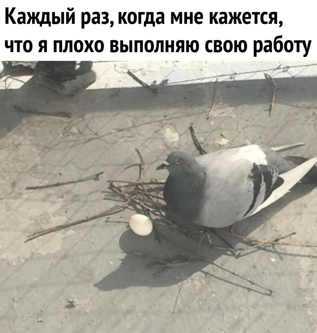 Каждый раз когда мне кажется что я плохо выполняю свою работу А _ _
