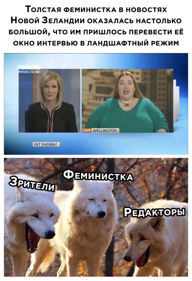 ТОЛСТАЯ ФЕМИНИСТКА В НОВОСТЯХ НОВОЙ ЗЕЛАНДИИ ОКАЗАЛАСЬ НАСТОЛЬКО БОЛЬШОЙ ЧТО ИМ ПРИШЛОСЬ ПЕРЕВЕСТИ ЕЁ ОКНО ИНТЕРВЬЮ В ЛАНДШАФТНЫЙ РЕЖИМ