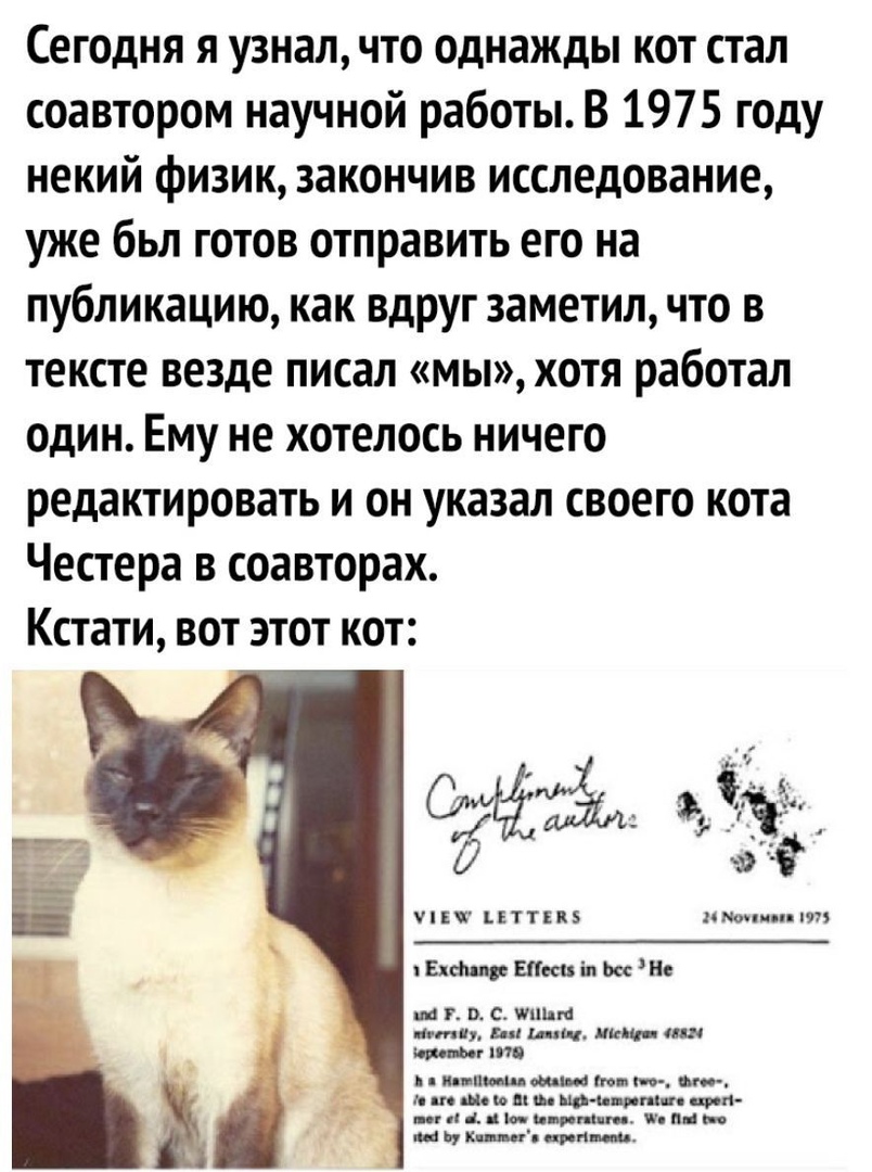 Сегодня я узнал что однажды кот стал соавтором научной работы В 1975 году некий физик закончив исследование уже бьл готов отправить его на публикацию как вдруг заметил что в тексте везде писал мы хотя работал один Ему не хотелось ничего редактировать и он указал своего кота Честера в соавторах Кстати вот этот кот У ЪЪТТЕКБ птиц иш Ехщ Шканты Не на г от с ишшо тп тд щ нищ тч иг то и иви ши м те от 
