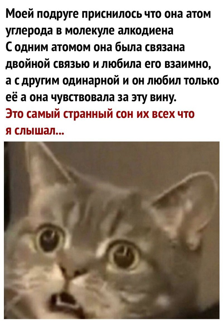 Моей подруге приснилось что она атом углерода в молекуле алкодиена С одним атомом она была связана двойной связью и любила его взаимно а с другим одинарной и он любил только её а она чувствовала за эту вину Это самый странный сон их всех что я слышал