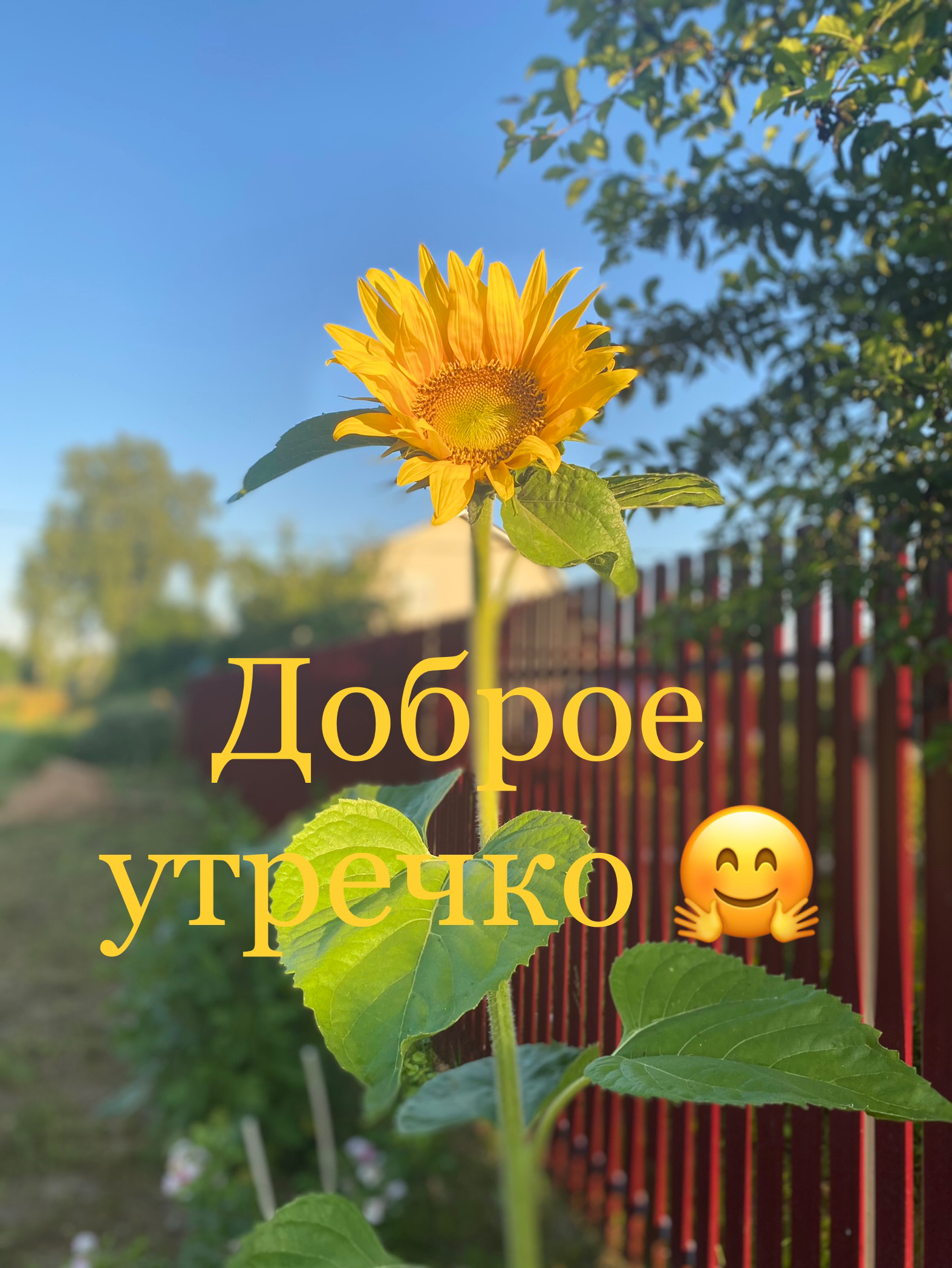 у д ва д У ці 7