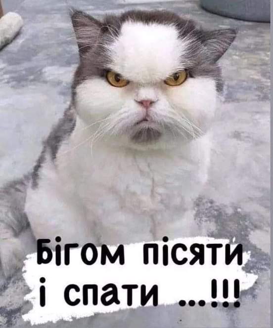 Ъігом май и За дй