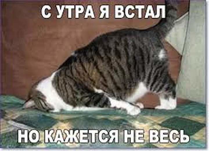 с утЩё яцвстдп г __