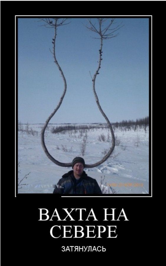 ВАХТА НА СЕВЕРЕ ЗАТЯНУПАС Ь