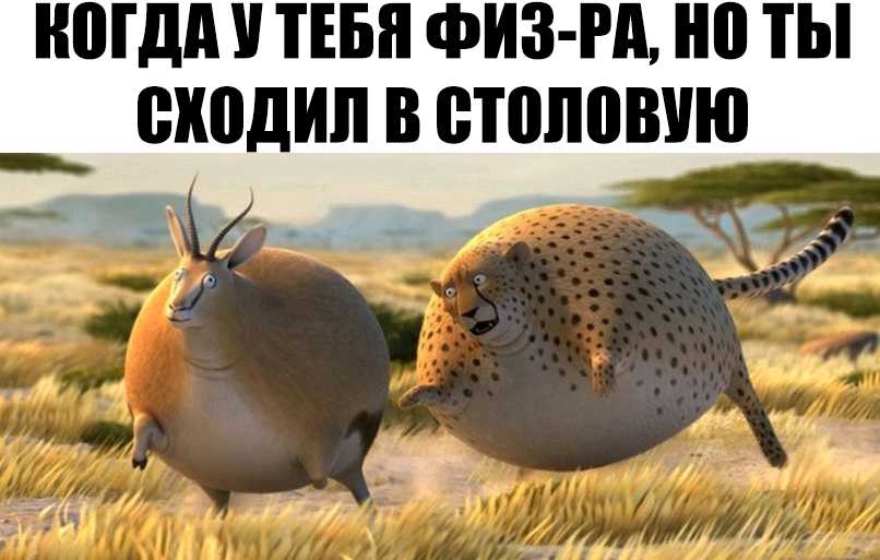 Н0Гдд ТЕБЯ ФИЗ РА но ты ШШДИЛ В ВПШПВУЮ деип 131 д