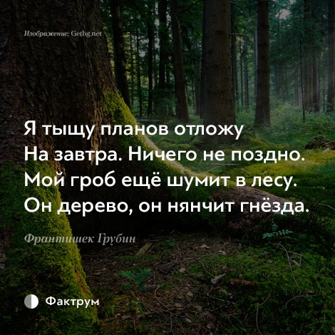 Я тыщу пла ов отпожу На завтра Ни _го не поздно _ Мой гроб ещё ш в лесу Он дерево он нянчит гнёзда 1 им Фактрум