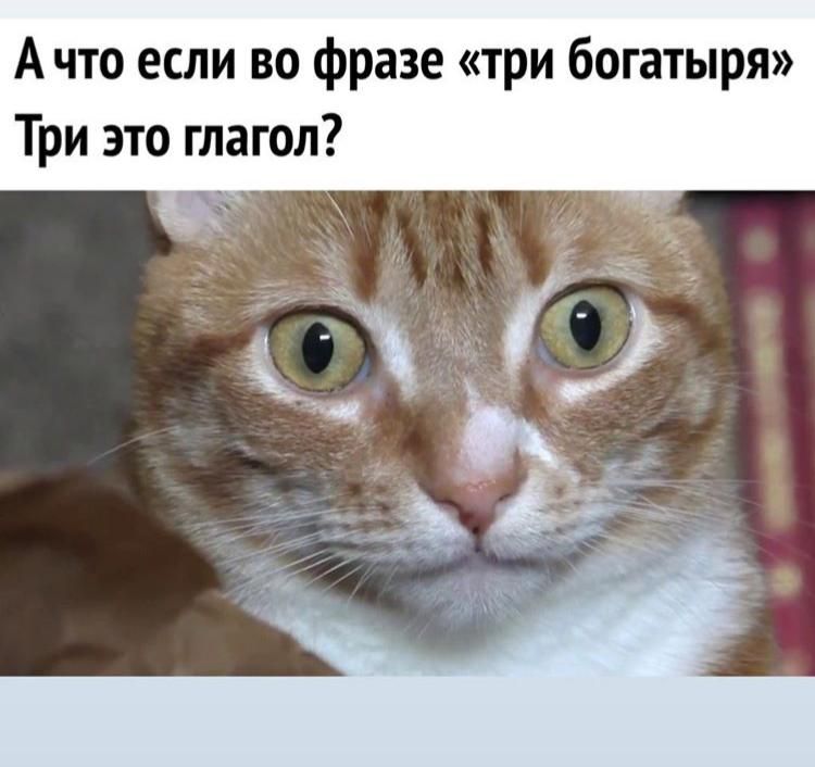 А что если во фразе три богатыря Три это глагол