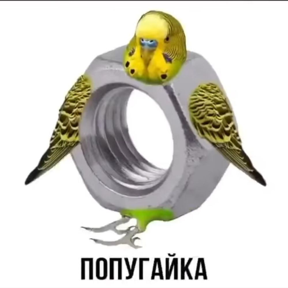 ПОПУГАЙКА
