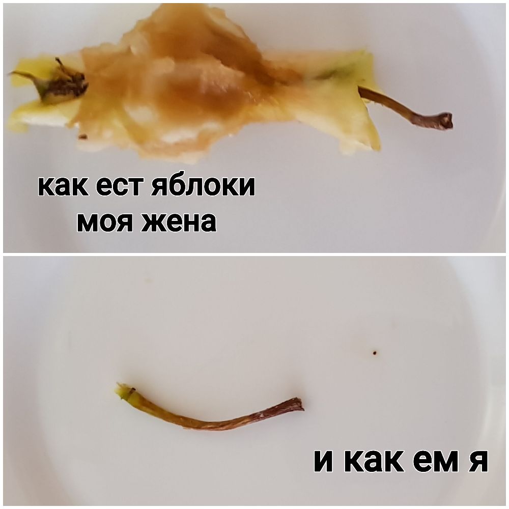 как ест яблоки моя жена И как ем Я