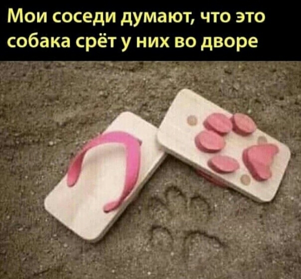Мои соседи думают что это собака срёт у них во дворе