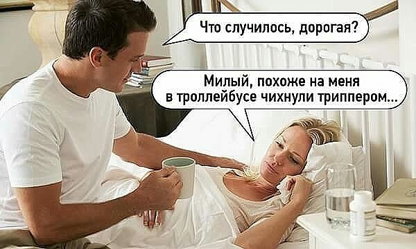 Милый похоже на меня в трилпейбусе чихнули трипперпм