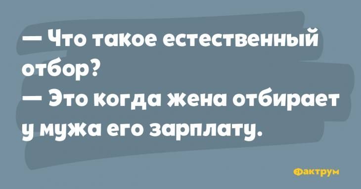 Что такое естественный отбор Это когда жена отбирает у мужи его зарплату