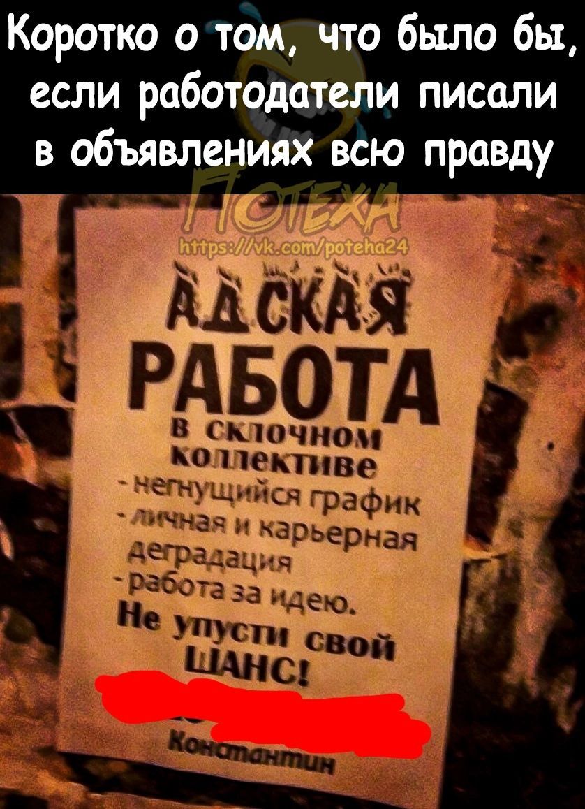 Коротко отдм что было бы если работодатели писали 5 объявлений вёю правду сто чно ОШ Пективе ЕПУЩийся