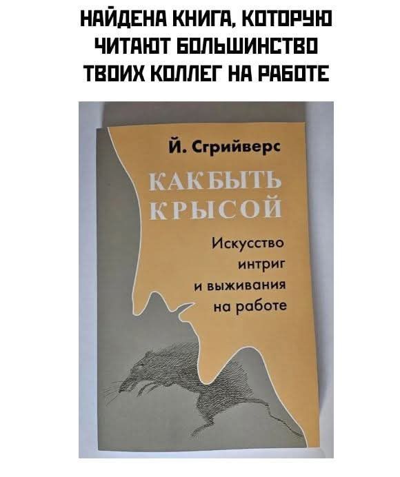 НАЙДЕНА КНИГА КОТОРУЮ ЧИТАЮТ БОЛЬШИНСТВО ТВПИХ КОЛЛЕГ НА РАБОТЕ КАКБЫТЕ КРЫСОИ