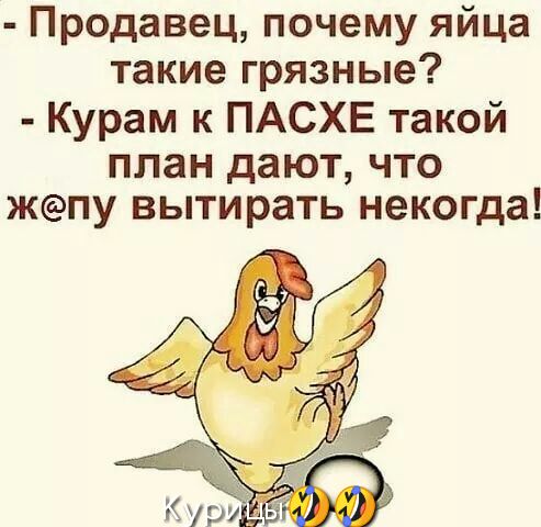 Продавец почему яйца такие грязные Курам к ПАСХЕ такой план дают что жпу вытирать некогда