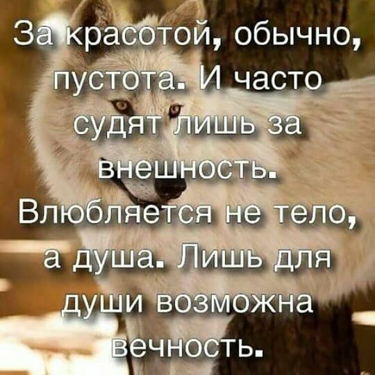 обычно в ЧЭСТО