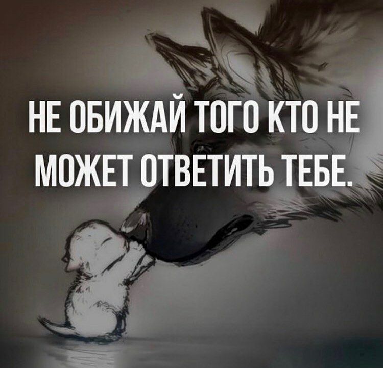 НЕ овиждй того зктп НЕ можтт ответить тнвв