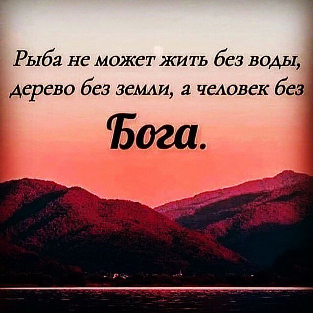 1 1 Рыба не может ЖИТЬ без воды дерево без земли а человек без Бога