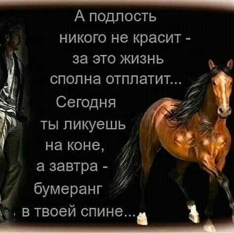 А подлость никого не красит за это жизнь сполна отппатит Сегодня ты ликуешь на коне а завтра бумеранг д в твоем спине Ы