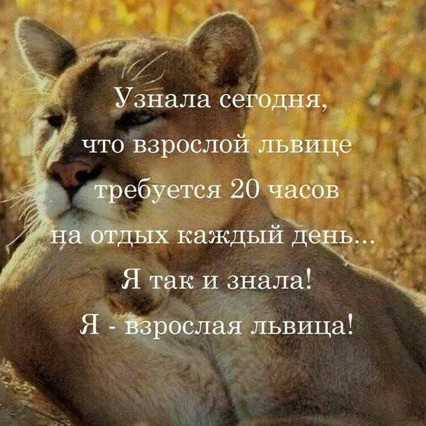 __ УзНала сеГодня_ ебцрггся 20 Часов Каждый Д Я так 2 нала ЧТО взрослой львице