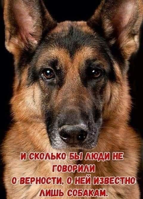 0 ВЕРНОСТИ О НЕЙ ИЗВЕСТШ