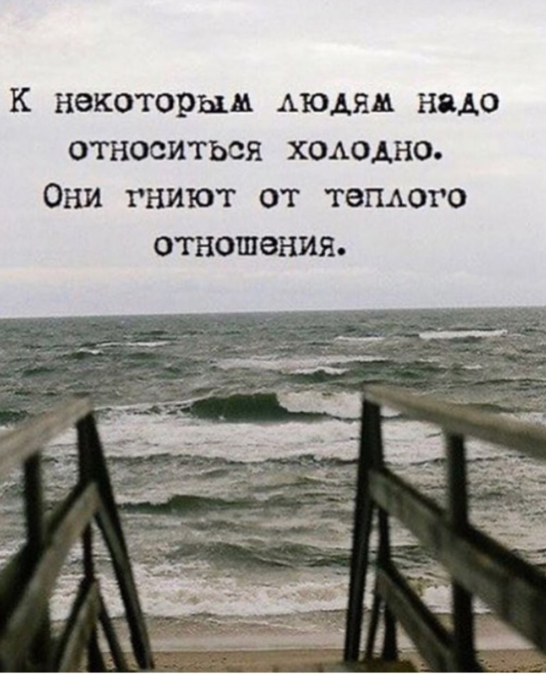 к некоторым людям надо относиться холодно Они гниют от тегиого отношения