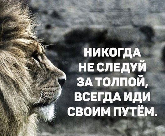никогдА нв следуй здтолпойіТ _ ВСЕГДА ид_и своим путём _ д