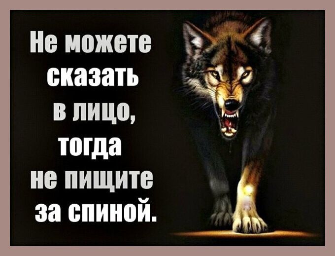 Не можете сказать 3 В ШШ м тогда не пищите за спиной