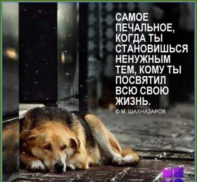 с _ САМОЕ ПЕЧАЛЬНОЕ КОГДА ТЫ СТАНОВИШЬСЯ НЕНУЖНЫМ ТЕМ КОМУ ТЫ ПОСВЯТИП ВСЮ СВОЮ