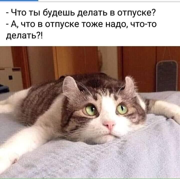 Что ты будешь делать в отпуске А что в отпуске тоже надо что то делать