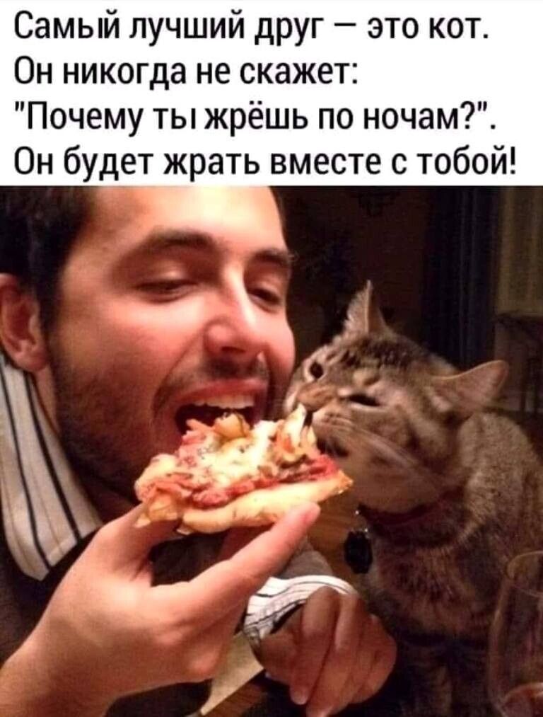 Самый лучший друг это кот Он никогда не скажет Почему ты жрёшь по ночам Он будет жрать вместе с тобой