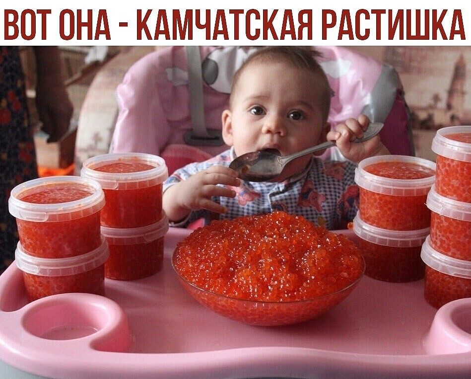 ВОТ Шд КАМЧЬТСКАЯ РАСТИШКА