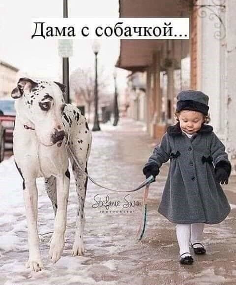 Дама с собачке