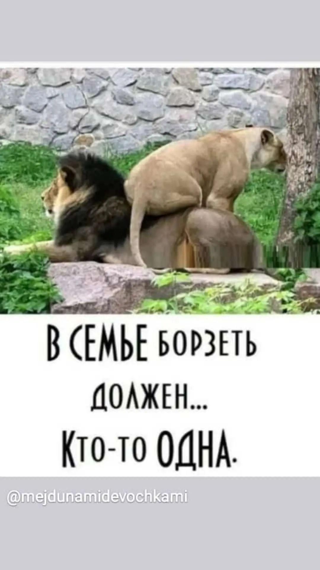 В ЕМЬЕ ворзпь ДОАЖЕН Ктото ОДНА